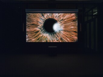 Ho Tzu Nyen (*1976), One or Several Tigers (Installationsansicht, Hamburger Kunsthalle, 2025–2026), 2017, Sammlung des Singapore Art Museum © Courtesy of the artist, Kiang Malingue, neugerriemschneider und Singapore Art Museum, Foto: Fred Dott